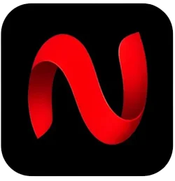 NetMirror logo